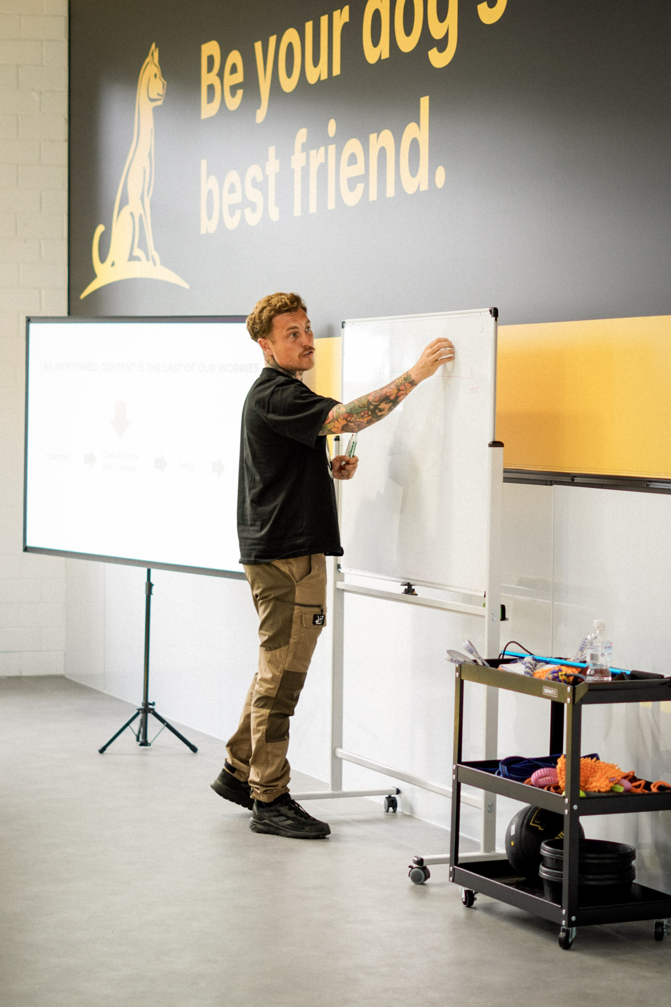 Professional dog trainer working with a dog